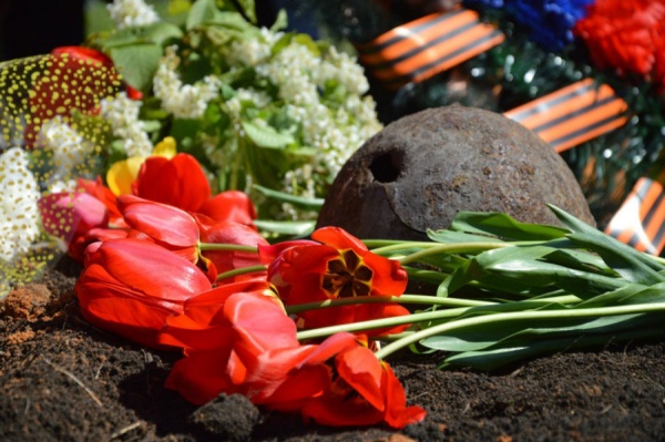 Эхо войны Новости